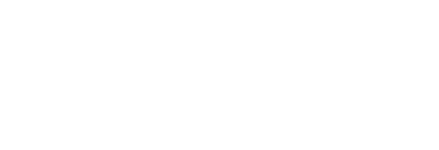 Northeastern logo